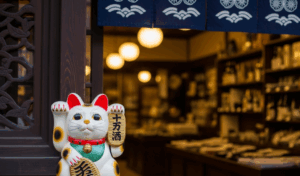 猫に好かれる人の金運が上がる理由【スピリチュアルな秘密】