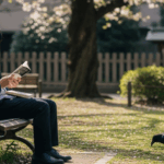 カラスが寄ってくる人必見！スピリチュアルな意味と対処法