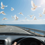 運転中に動物が横切るスピリチュアルな意味は？サインを解説